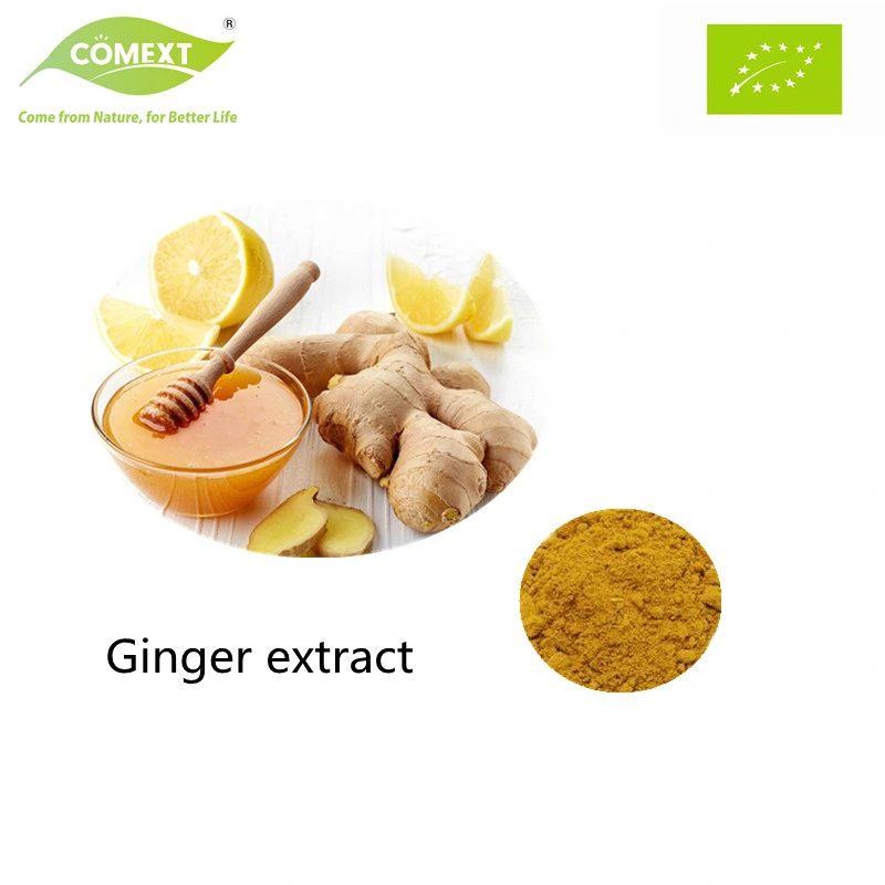 Comext Natural Dried Pure Water Soluble Ginger Root Extract Powder Organic Best Quality Best Price