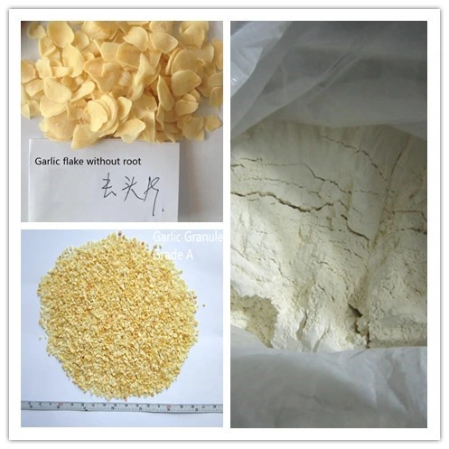 Air Dehydrated Garlic Granule 16-26mesh Strong