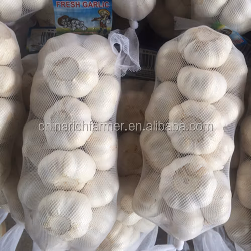 5cm & up Shandong Pure White Fresh Dehydrated Garlic