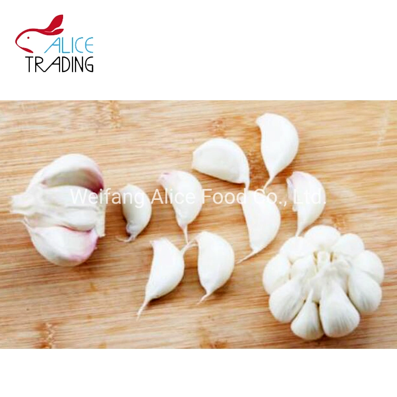 Wholesale Hot Selling Brc Cert Snack Vacuum Fried Garlic