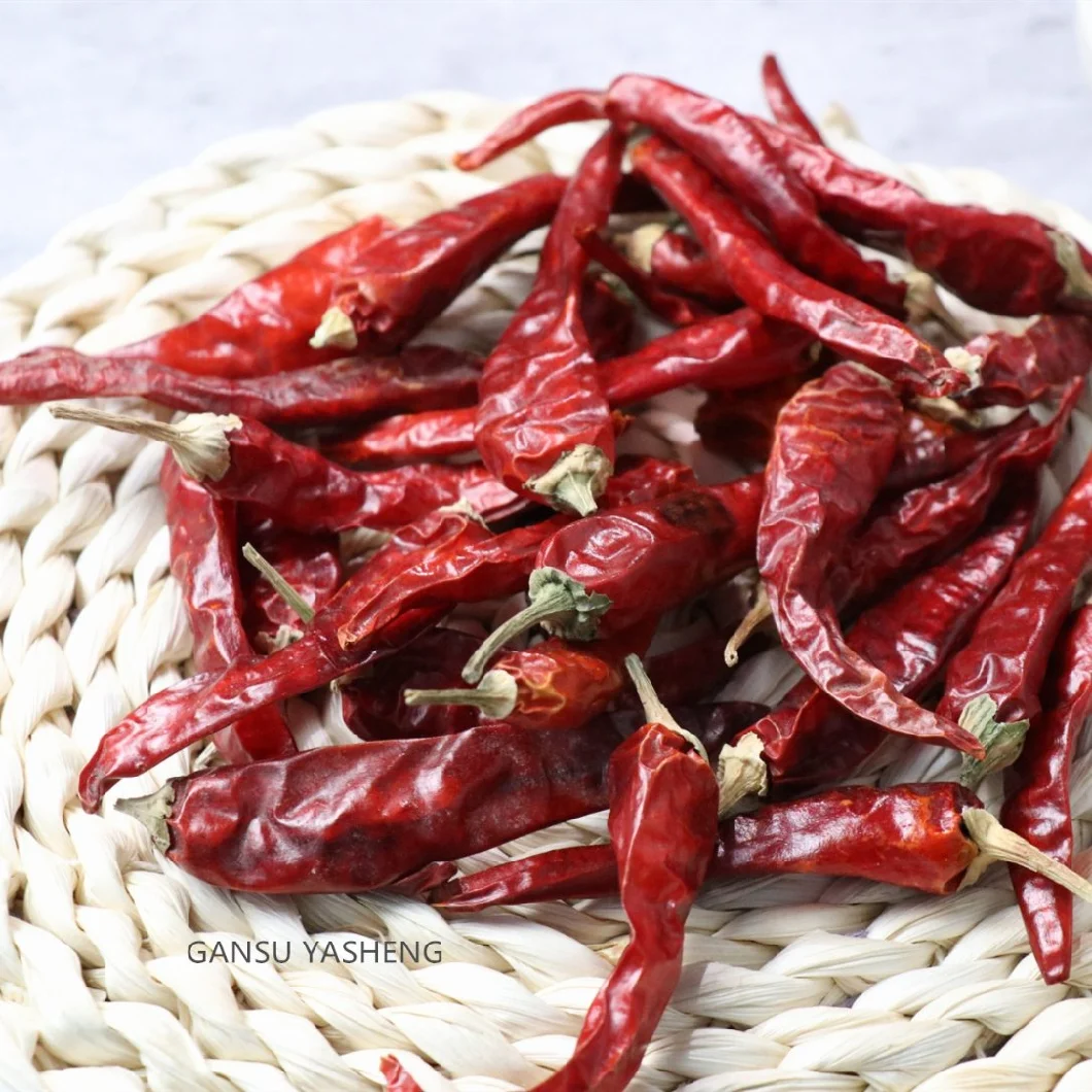 Wholesale Hot Chili Pepper Cayenne Pepper with Cheap Price