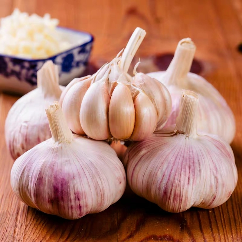 China/Chinese Best Fresh Natural Garlic Price - New Crop, Hot Sales/Dehydrated Garlic /Frozen Garlic /Fried Garlic