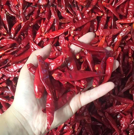 Factory Price Dried Red Sweet Paprika Chili Powder in Different Asta Specification